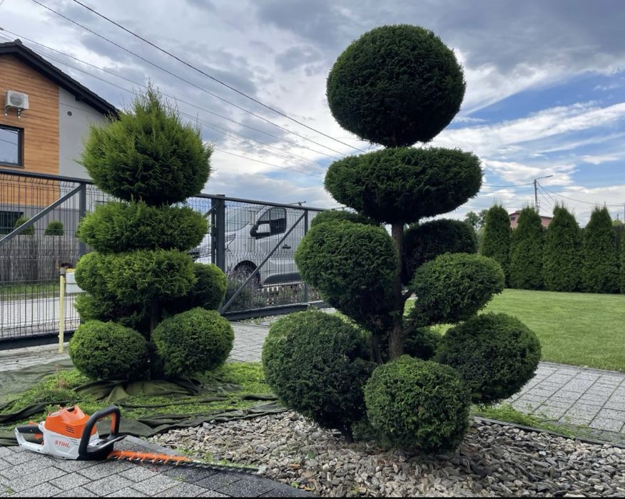 WYCINKA DRZEW, przycinanie żywopłotów, koszenie