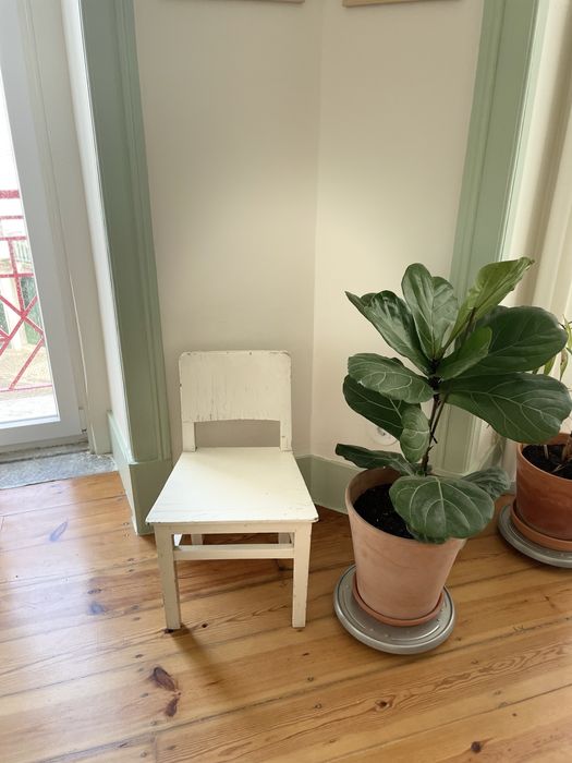 Cadeira rústica vintage