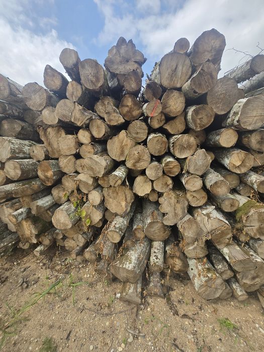 Sprzedam drewno opałowe połupane kominkowe popiłowane pocięte darmowy dowóz