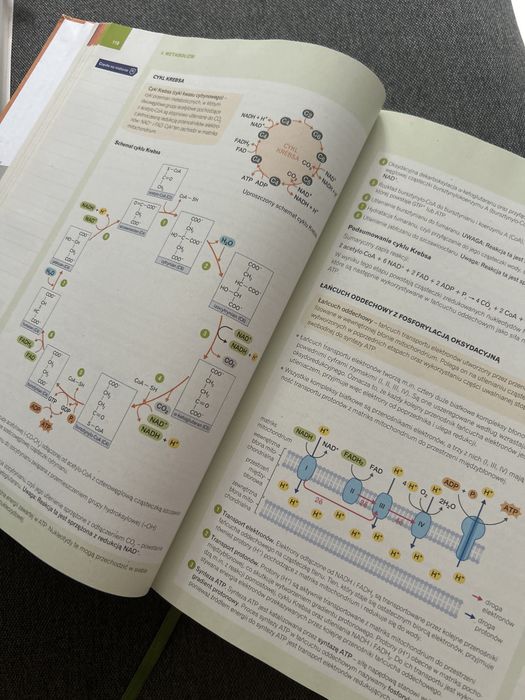 Nowa teraz matura biologia