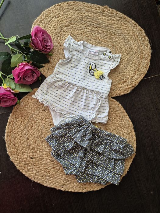 Coccodrillo * komplet 68