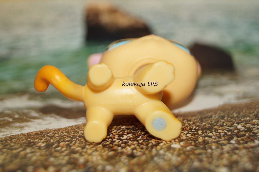 LPS Littlest Pet Shop shorthair #339 Brooklyn oryginalny pop oryginał ...