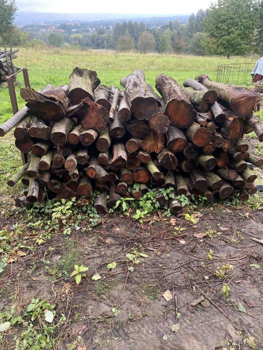 Drewno opałowe Śliwa