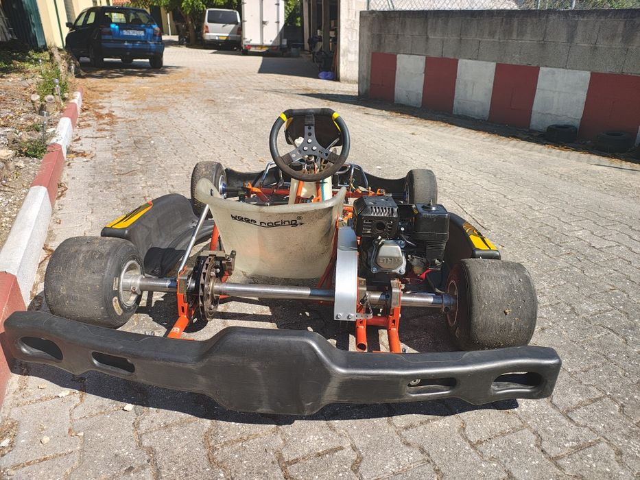 Kart intrepid cruiser 2015