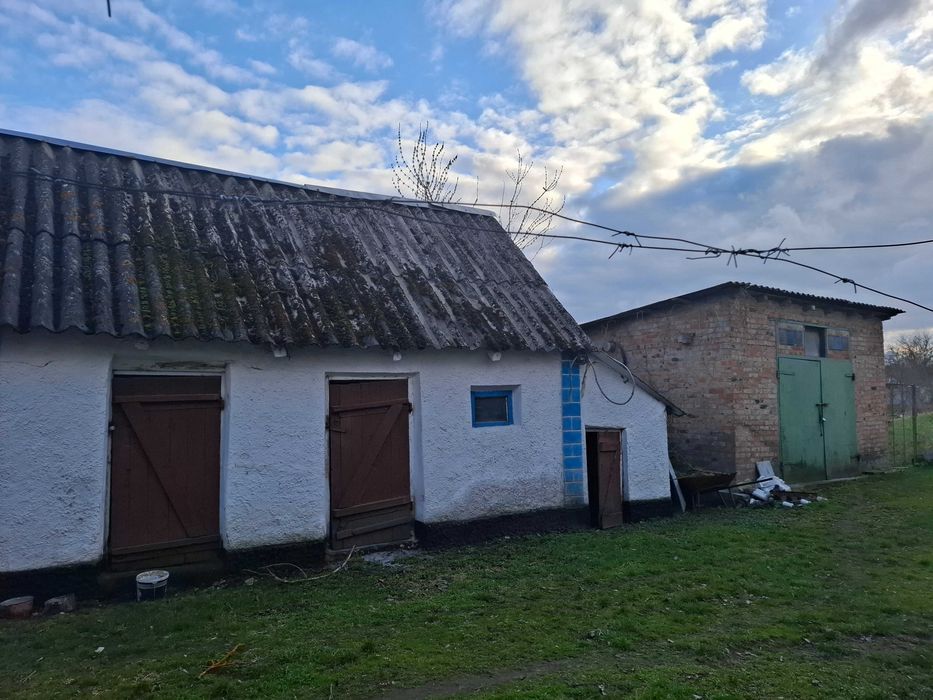 Будинок Турбів , поруч озеро та ліс