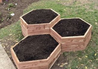 Skrzynie do sadzenia warzyw