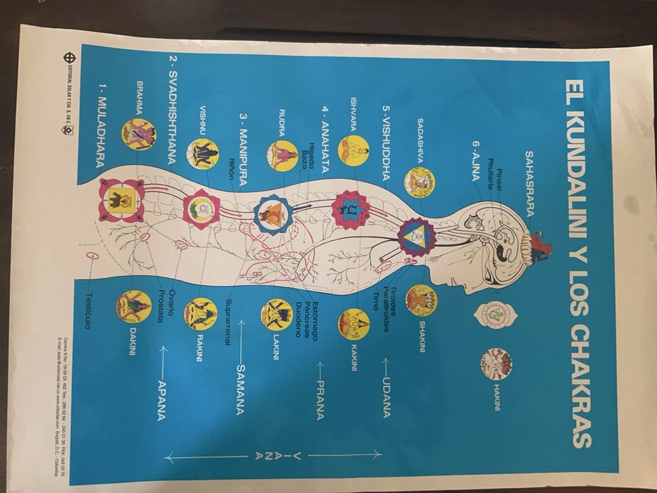 5 x Poster cartazes acunpressão massagem iridiologia reflexologia kundalini chackras etc