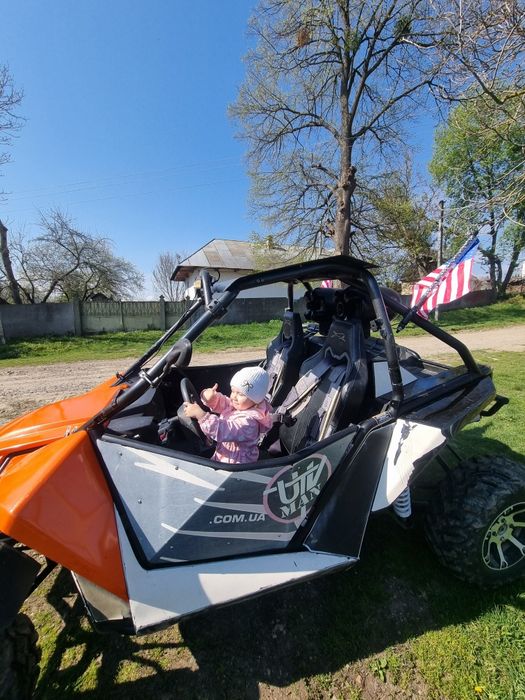 Arctic cat wildcat 1000