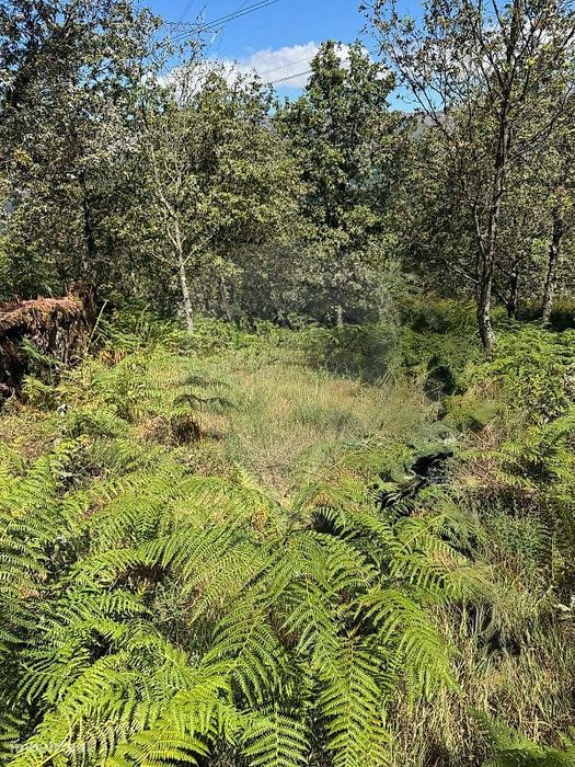 Terreno  para venda
