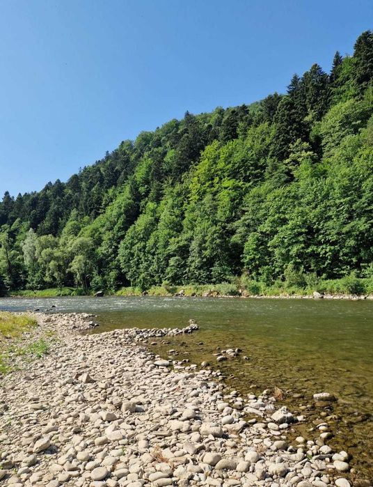 Drewniany Domek nad Dunajcem w Szczawnicy