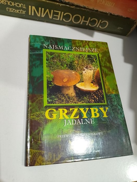 Najsmaczniejsze grzyby jadalne