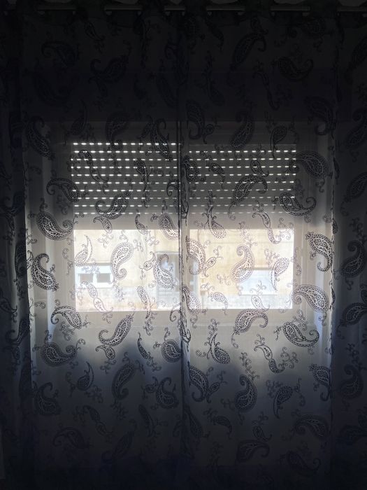 Black Cat Curtains425813722489180164