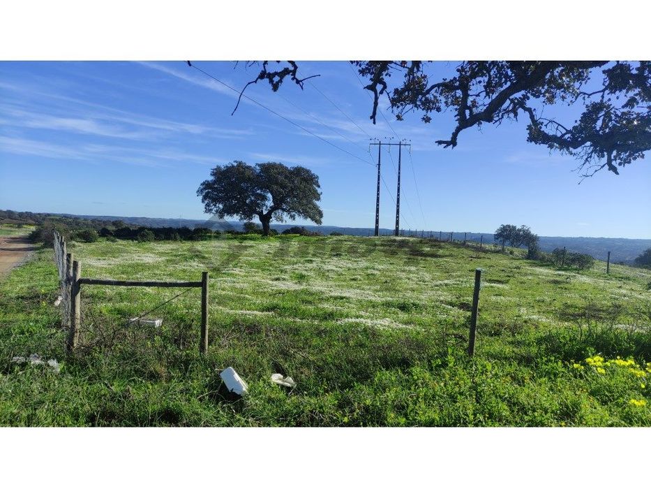 Terreno rústico de 0,775Ha localizado na Dogueno - Almodôvar