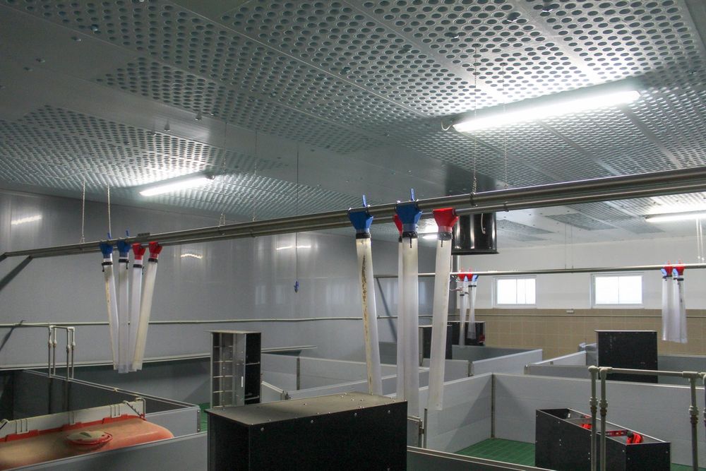 Sufit Wentylacyjny Perforowany Panele Izolacyjne Styrodur XPS AGRO 40