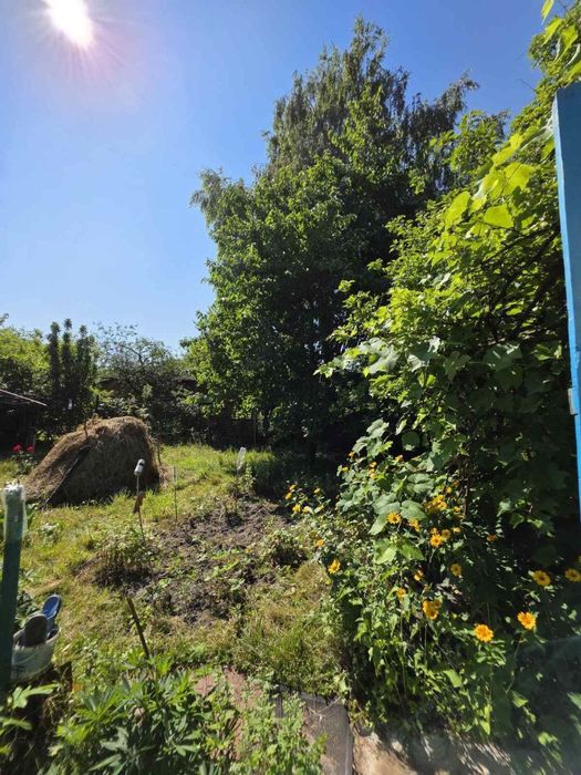 Продаж дачі Нова Українка