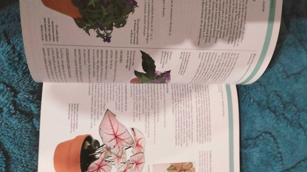 Grande livro guia das plantas