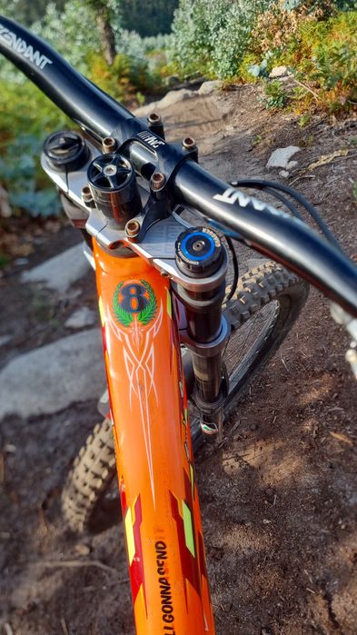 Specialized demo 8 edição limitada troy lee