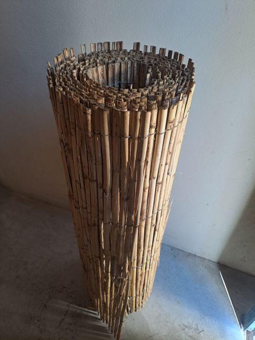 Caniço de ocultação