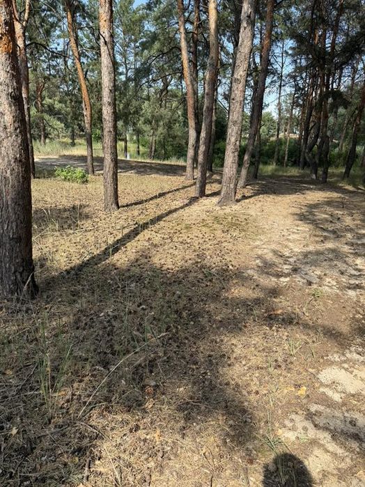 Продаж приватизованої земельної ділянки в с. Слобода.