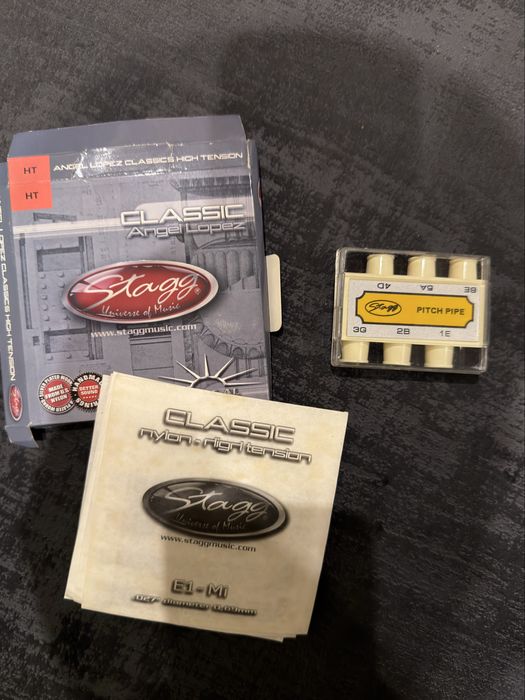 Viola com saco de transporte