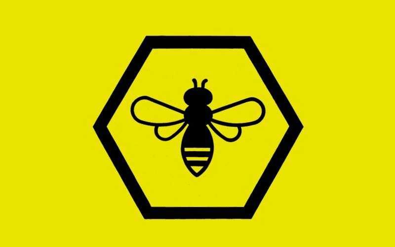 Бджолопакети 2026