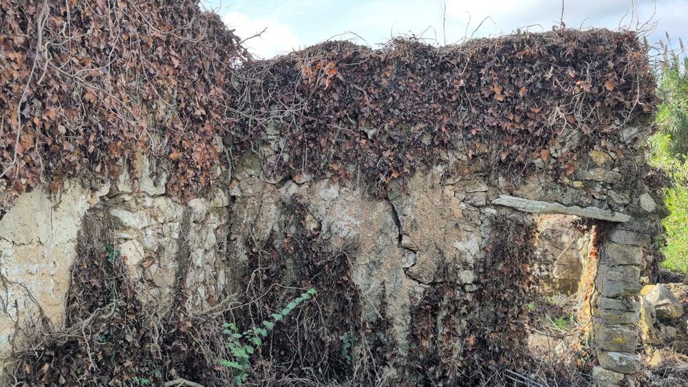 Venda de Ruína certificada