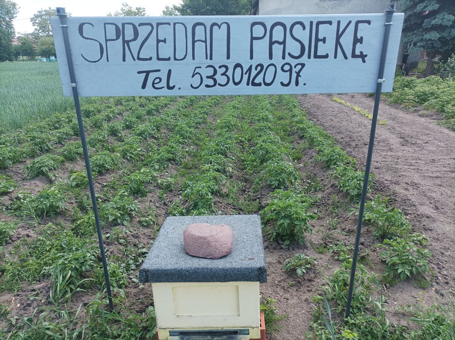Pasieka z całym wyposażeniem