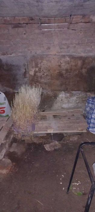 Продам Гараж Г/К Юбилейный Договорная