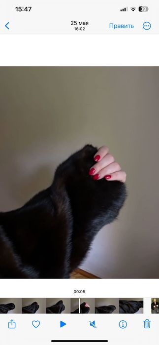 Шуба длинная темная