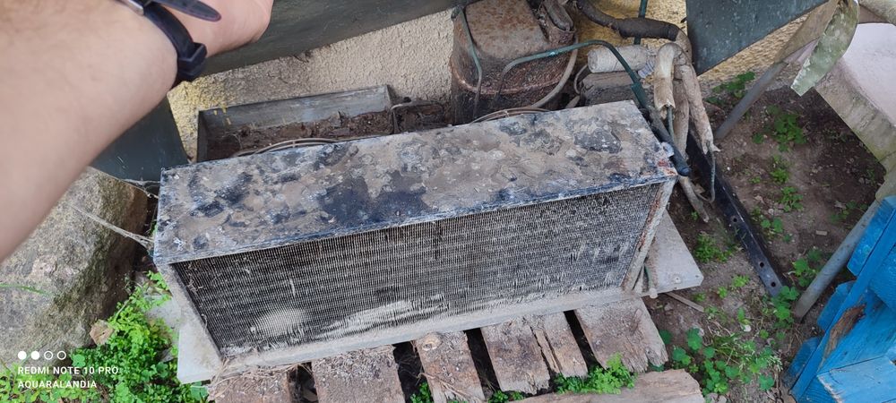 Estante de lacticínios