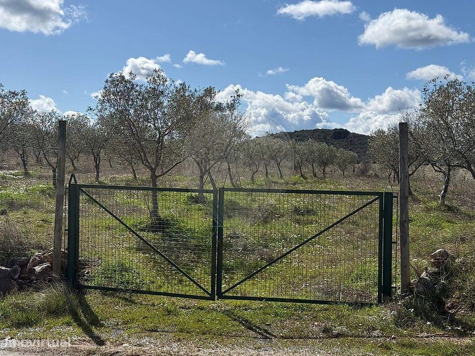 Terreno  para venda