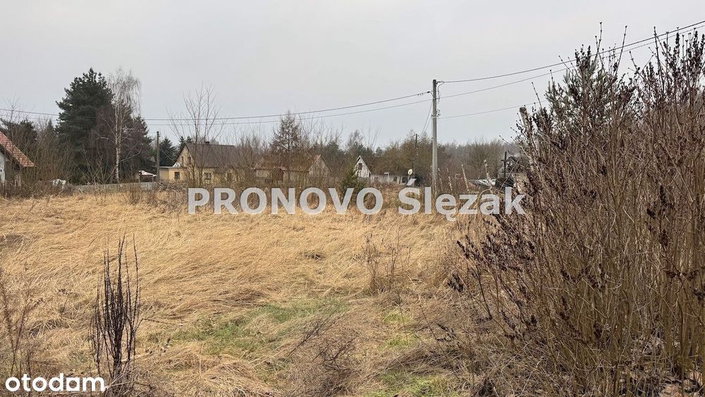 Sprzedam działkę budowlaną Nowosielce k.Obornik Śl - Widok 3