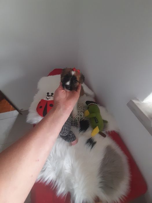 Bebé XX muito fofinha