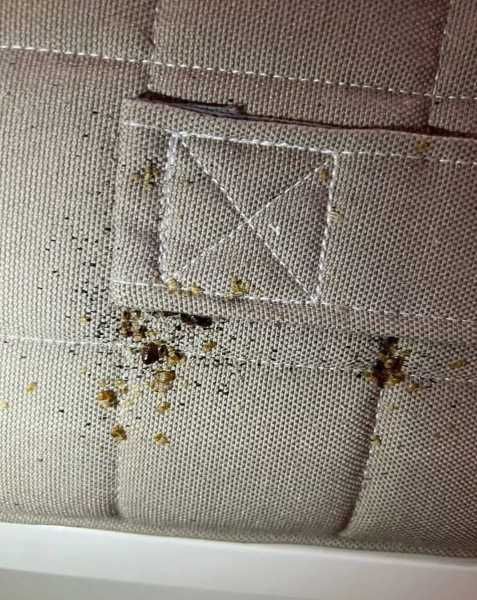 Травля клопов и тараканов санитарная обработка помещений