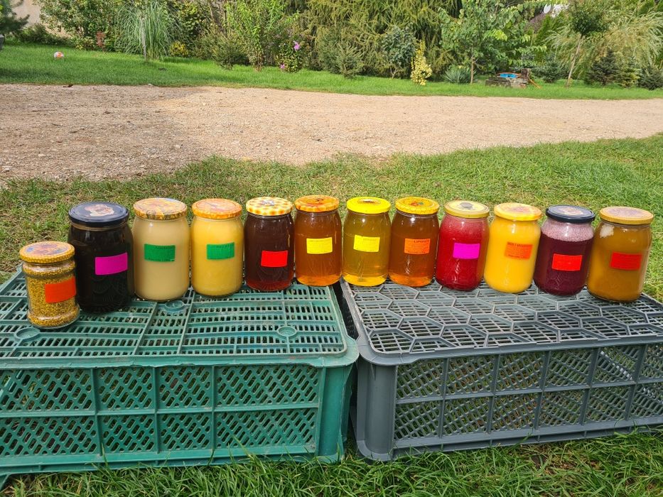 Miód lipowy miód z maliną gryczany spadziowy