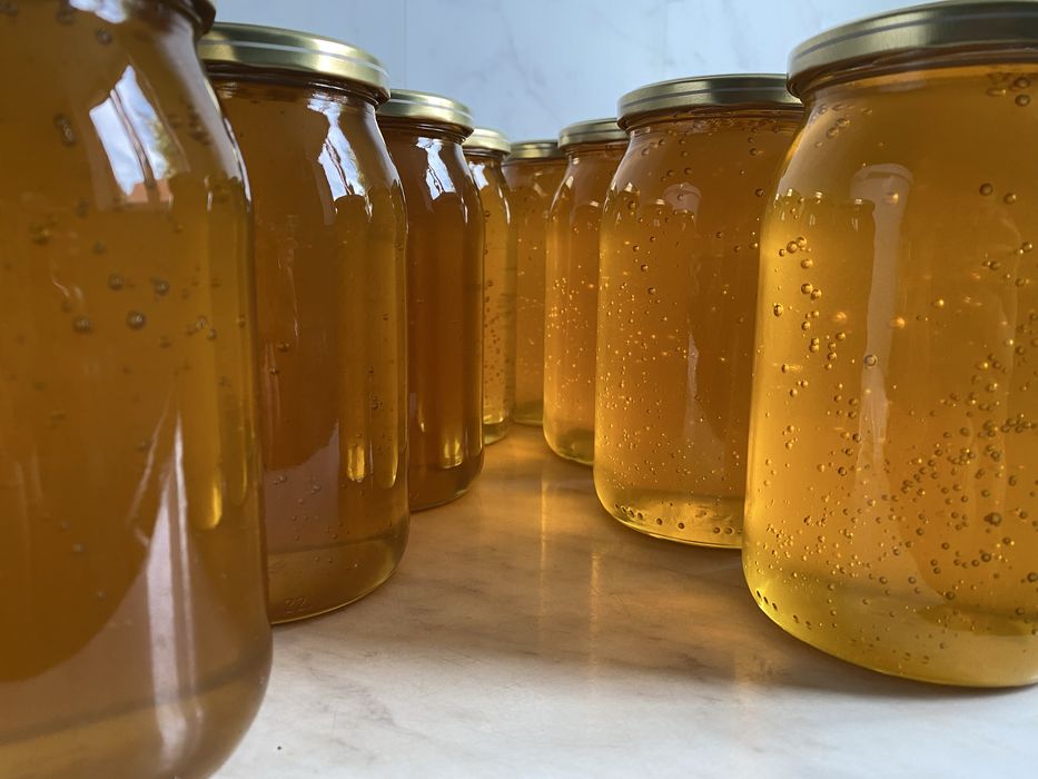 Miód z przydomowej pasieki – Sprzedaż nadwyżki