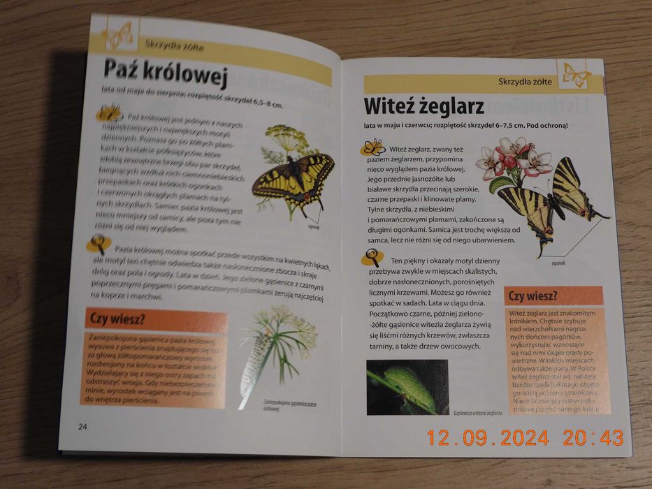 Mój pierwszy przewodnik Jaki to motyl? H.M. Garbarczyk JAK NOWA