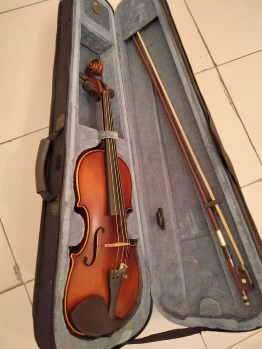 Violino Profissional e Alaúde/Oud