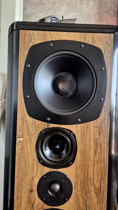 DALI 40 – Legendarny High-End | Konstrukcja Push-Pull