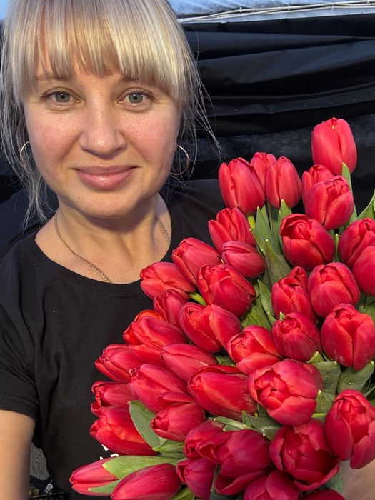 Тюльпани опт до 8 березня