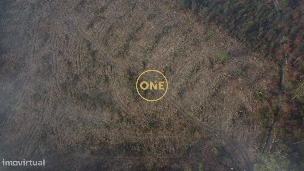 Terreno Rústico para Venda em Silveiros, Barcelos