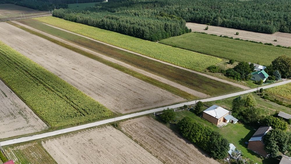 #OKAZJA# Działki budowlane Dobrynka, gm. Piszczac – 35 zł/m² - Widok 3