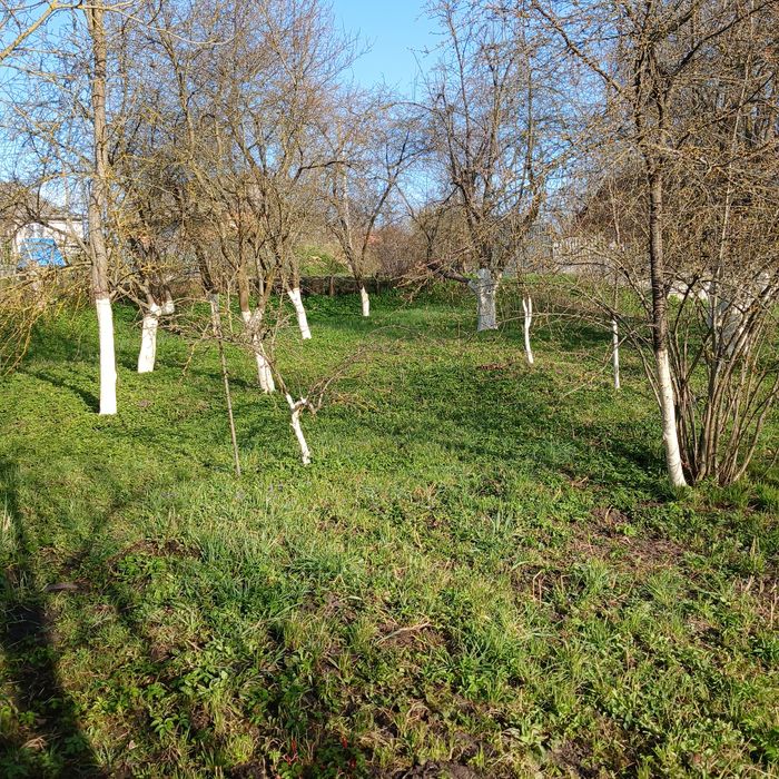 Продам земельну ділянку з хатиною
