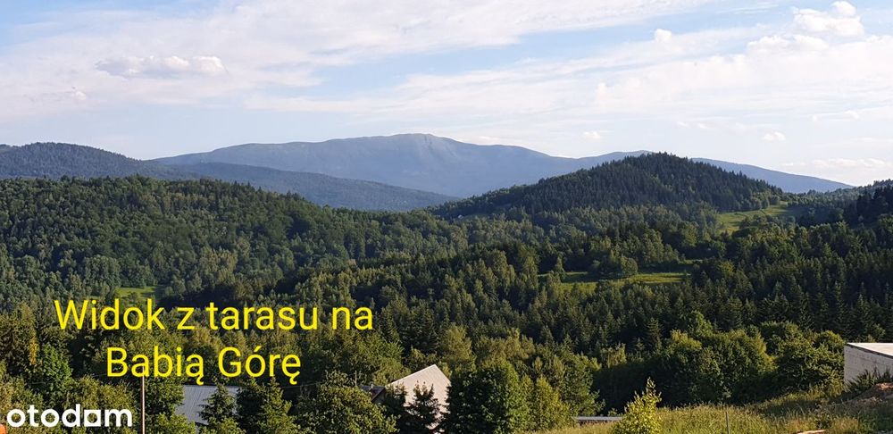 Zdjęcie 7
