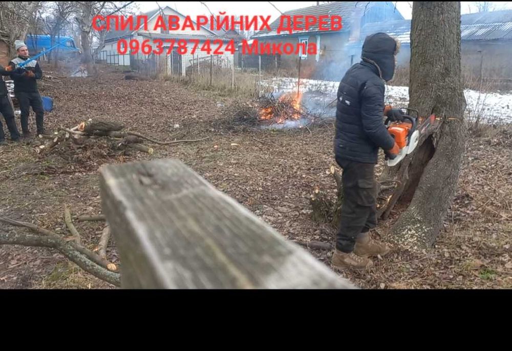 Розчитка чагарників,вирізка дерев,порізка та порубка дров заготівля