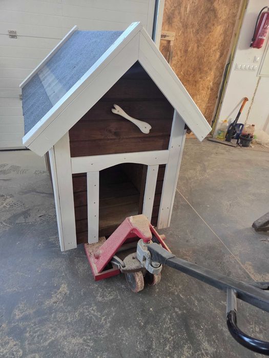 Buda dla psa dłużej rasy