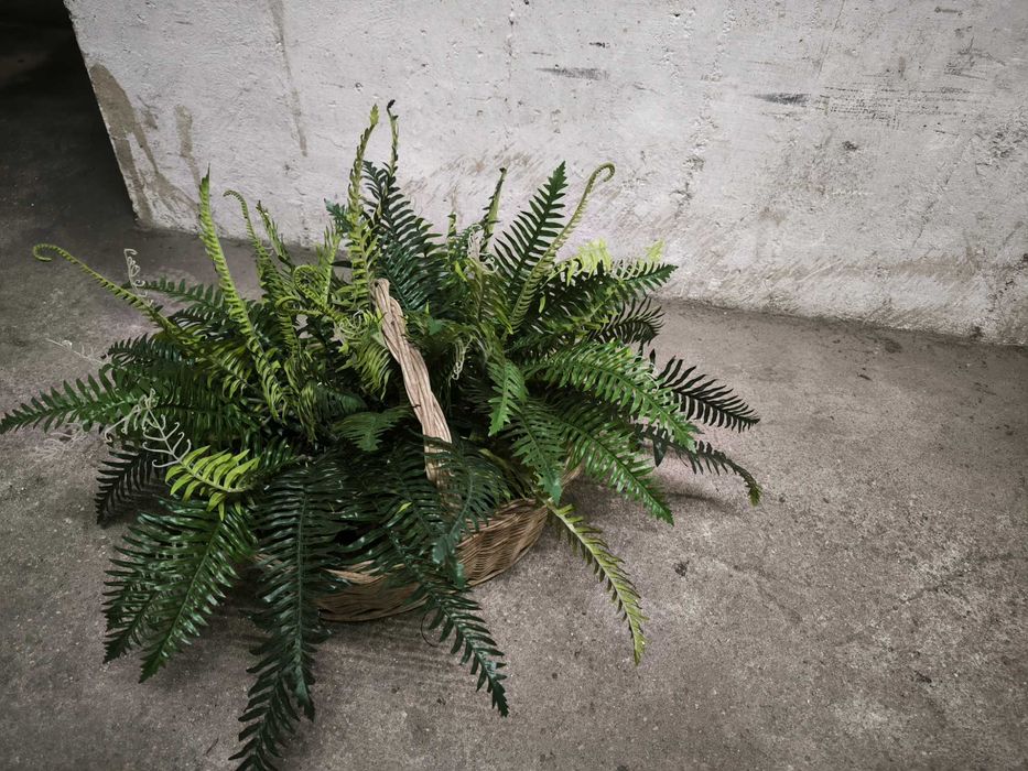 4 Samambaias artificiais