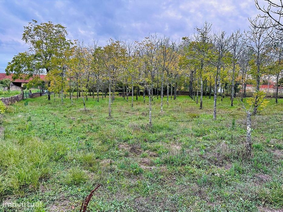 Dois artigos: Urbano com 498 m2 e terreno rústico com 1000 m2 em Vilar