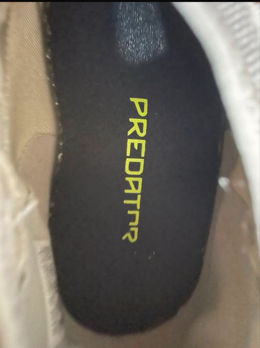 Chuteiras Adidas Predator