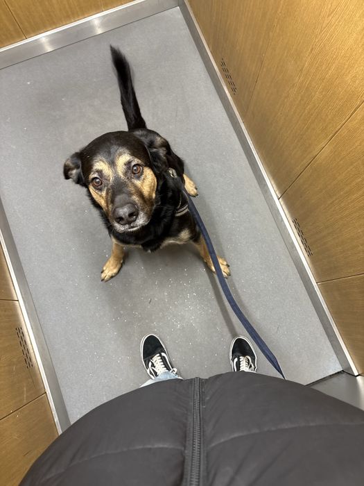 Oddam w dobre ręcę !PILNE!